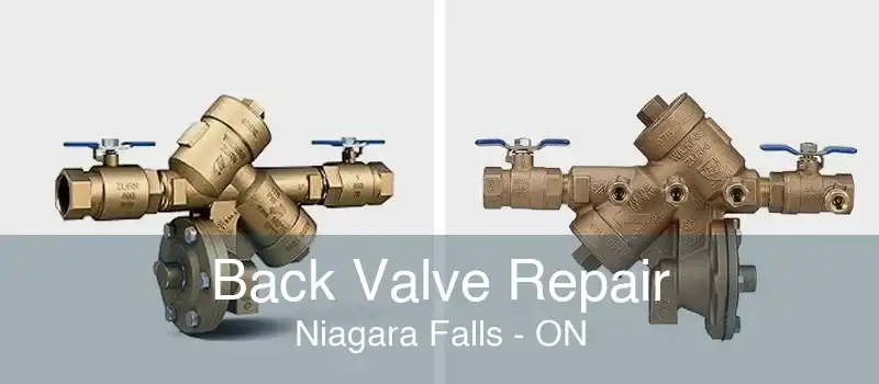 Back Valve Repair Niagara Falls - ON