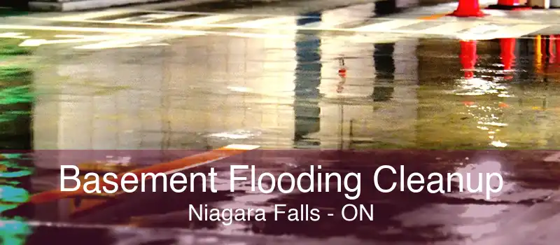 Basement Flooding Cleanup Niagara Falls - ON