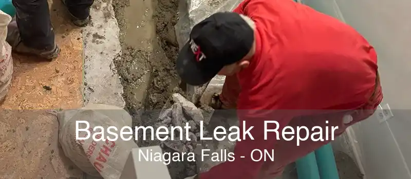Basement Leak Repair Niagara Falls - ON