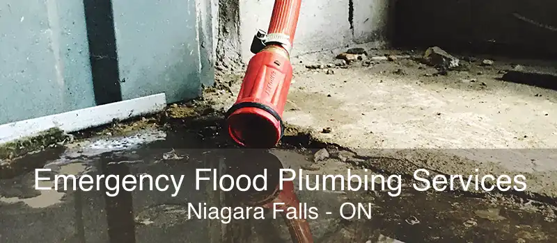 Emergency Flood Plumbing Services Niagara Falls - ON