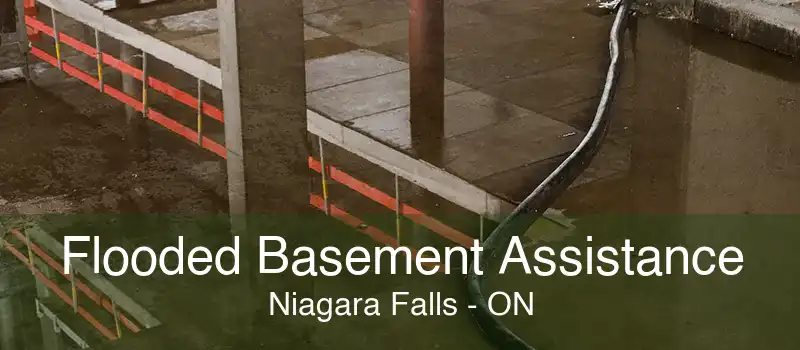 Flooded Basement Assistance Niagara Falls - ON