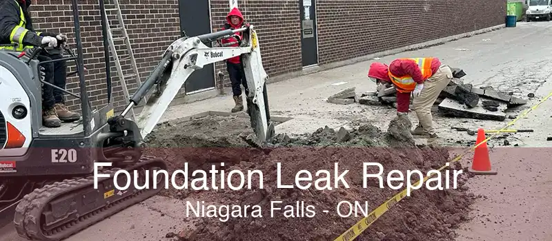 Foundation Leak Repair Niagara Falls - ON
