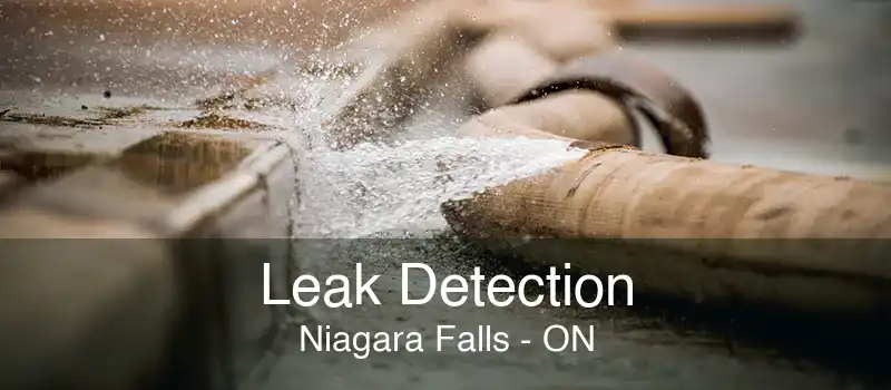 Leak Detection Niagara Falls - ON