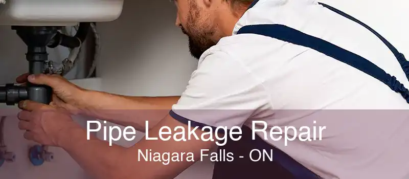Pipe Leakage Repair Niagara Falls - ON