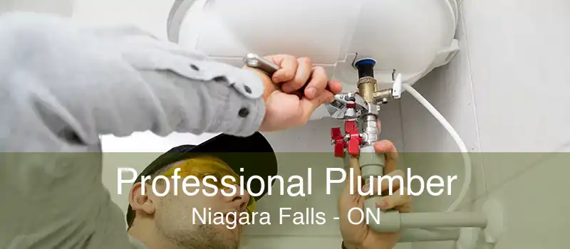 Professional Plumber Niagara Falls - ON