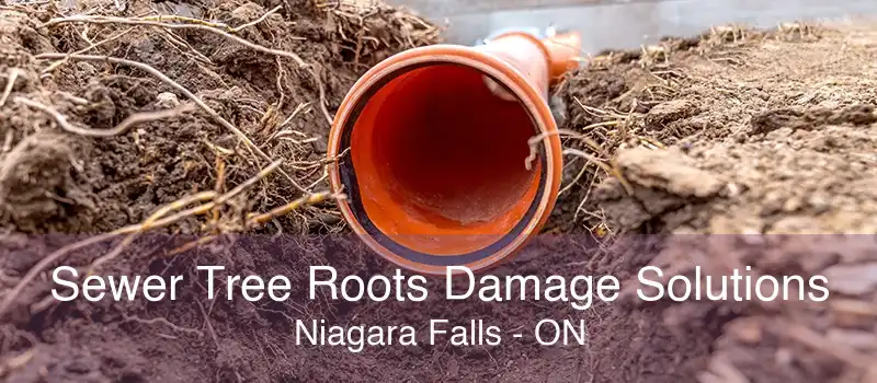 Sewer Tree Roots Damage Solutions Niagara Falls - ON