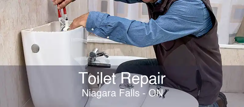 Toilet Repair Niagara Falls - ON
