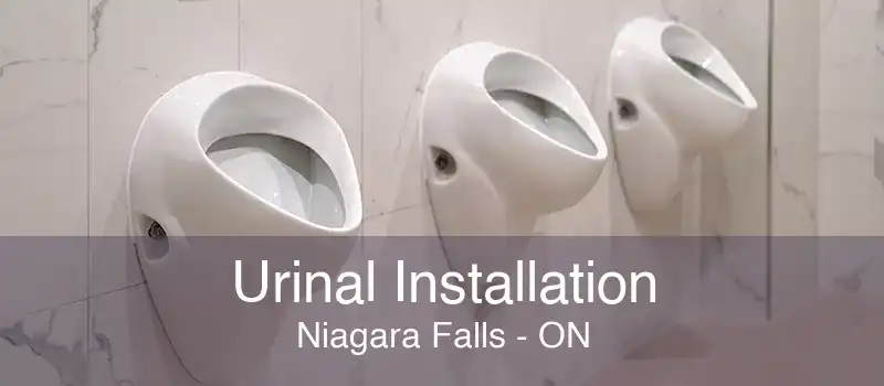 Urinal Installation Niagara Falls - ON