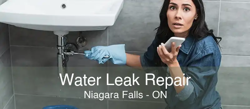 Water Leak Repair Niagara Falls - ON