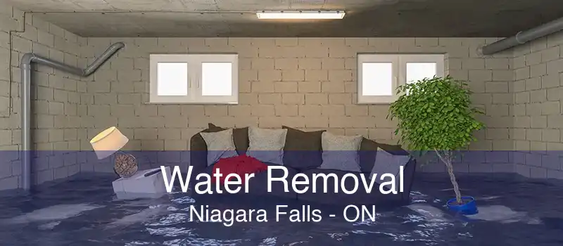 Water Removal Niagara Falls - ON