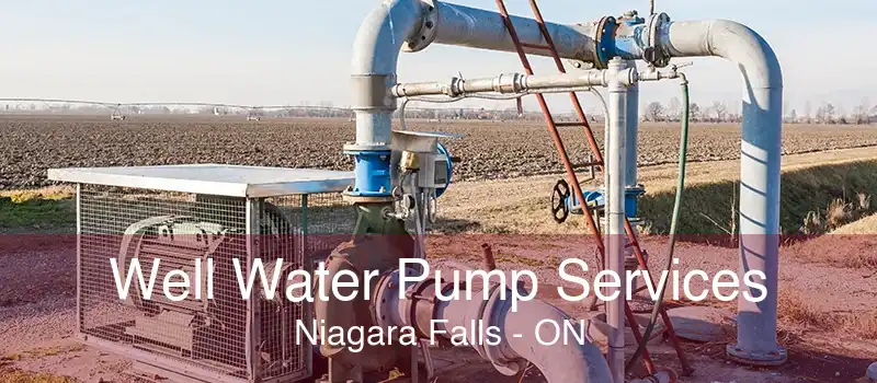 Well Water Pump Services Niagara Falls - ON